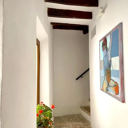 Can Raixa Lloseta Exterior photo